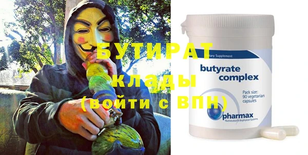 сатива Бородино