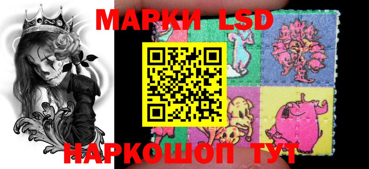 Меф Дятьково