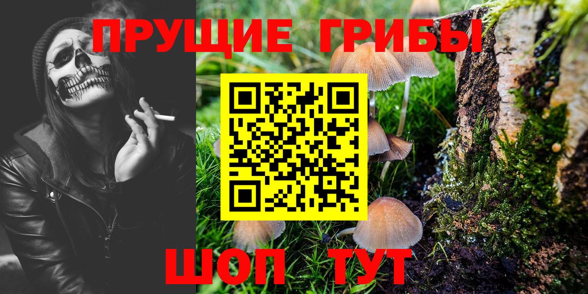 Дятьково  Галлюциногенные грибы ЛСД  Вход с VPN 