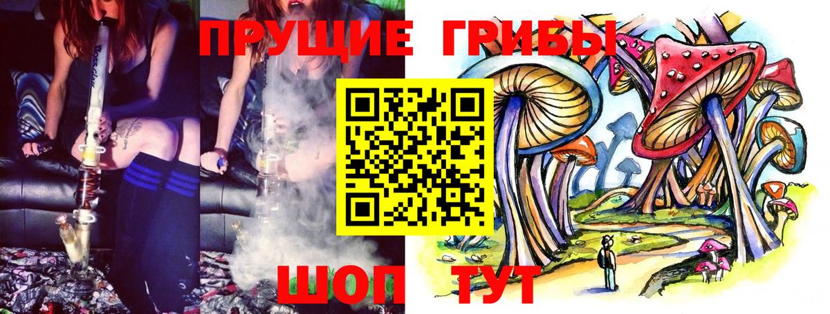 Псилоцибиновые грибы прущие грибы  Дятьково  что такое наркотик  Псилоцибиновые грибы прущие грибы 