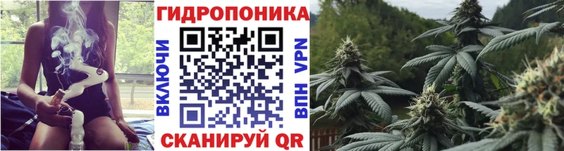 Бошки Шишки сатива купить Дятьково